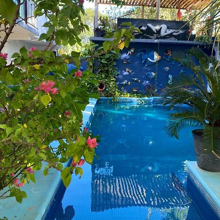 Casa Chukum Hotel Bacalar Bagian luar foto Butterfly House